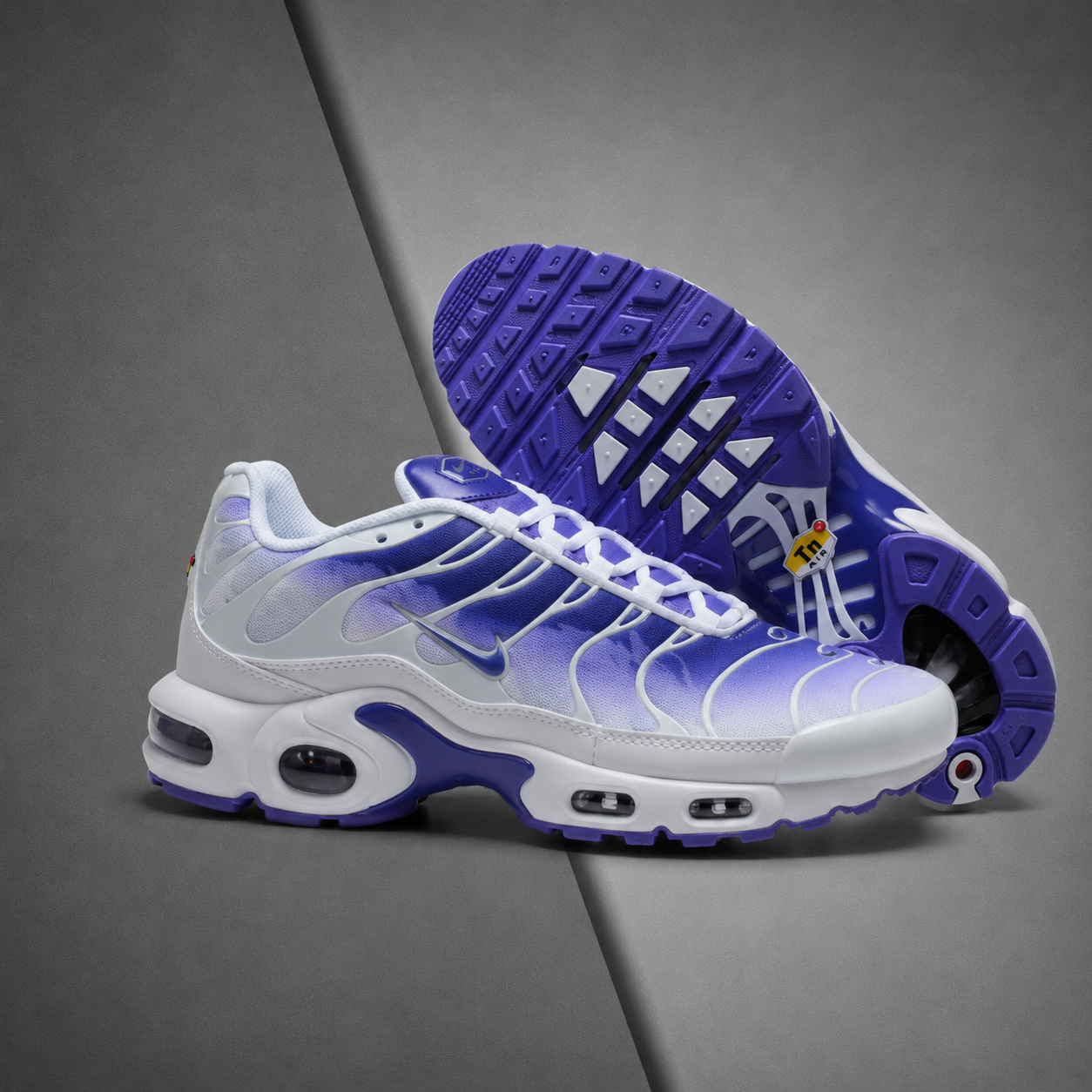 TN Purple Dragon