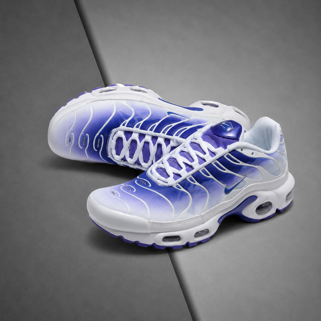 TN Purple Dragon
